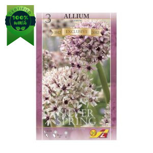 Okrasni luk Silver Spring (3) - slika 1
