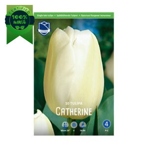 Tulipan Catherine (10) - slika 1